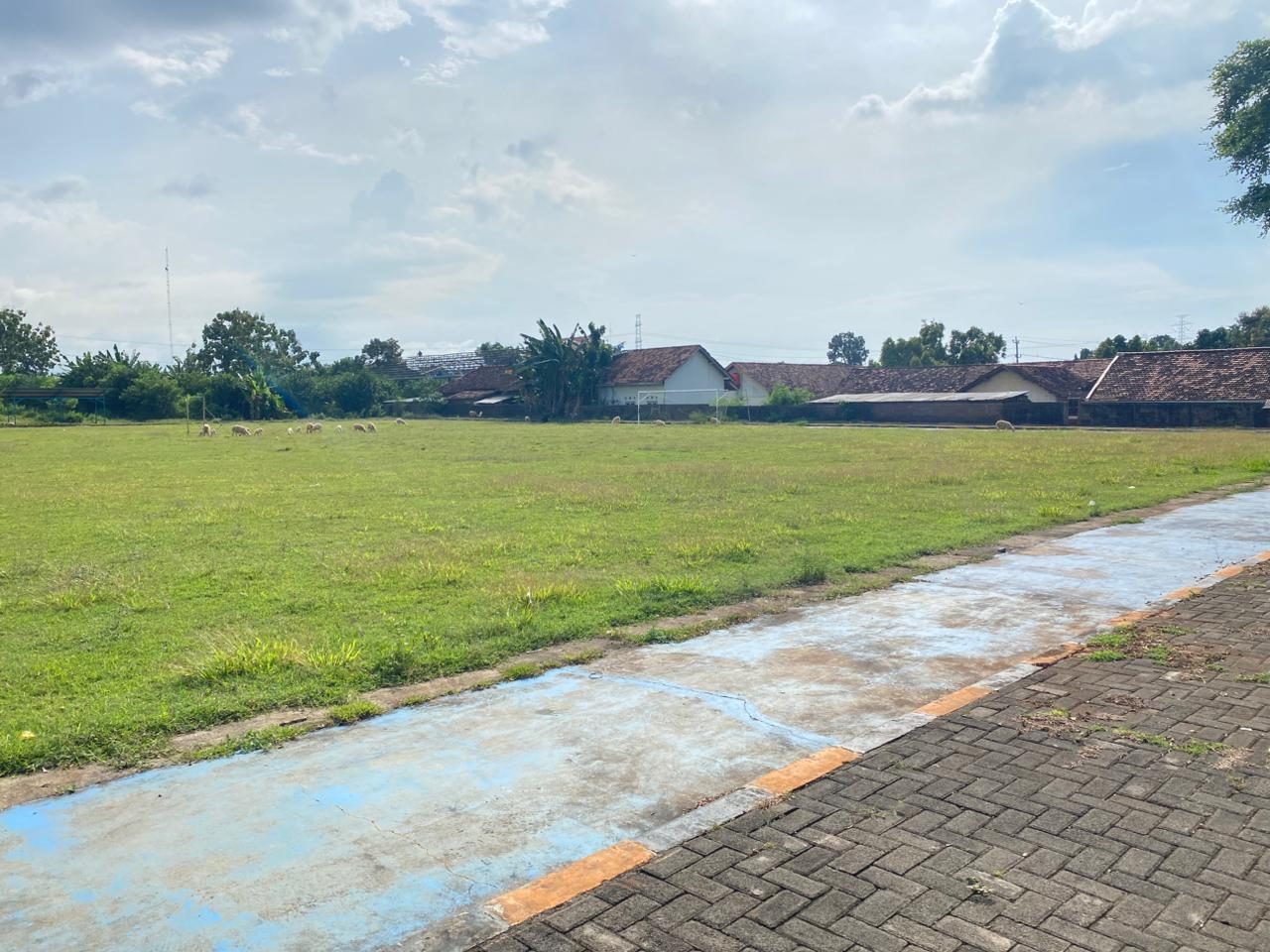 Lapangan sekolah